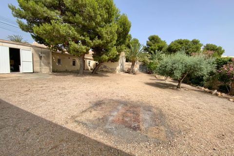 Finca i Torre Pacheco, Murcia, Torre Pacheco - € 298.000 | Ref: V498TM - foto 6
